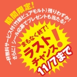 horoyoi_eye